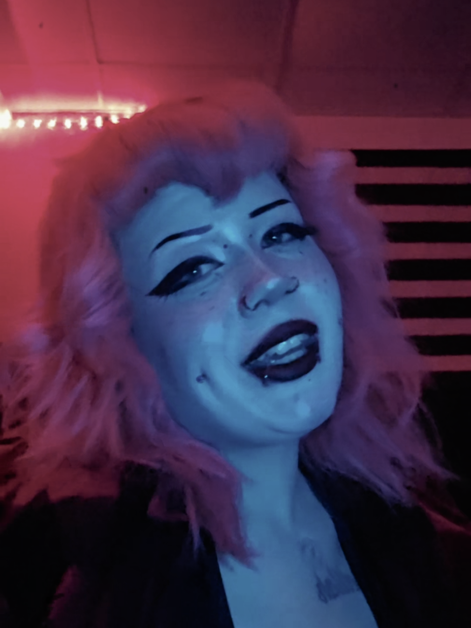 @bunniitheclownpup