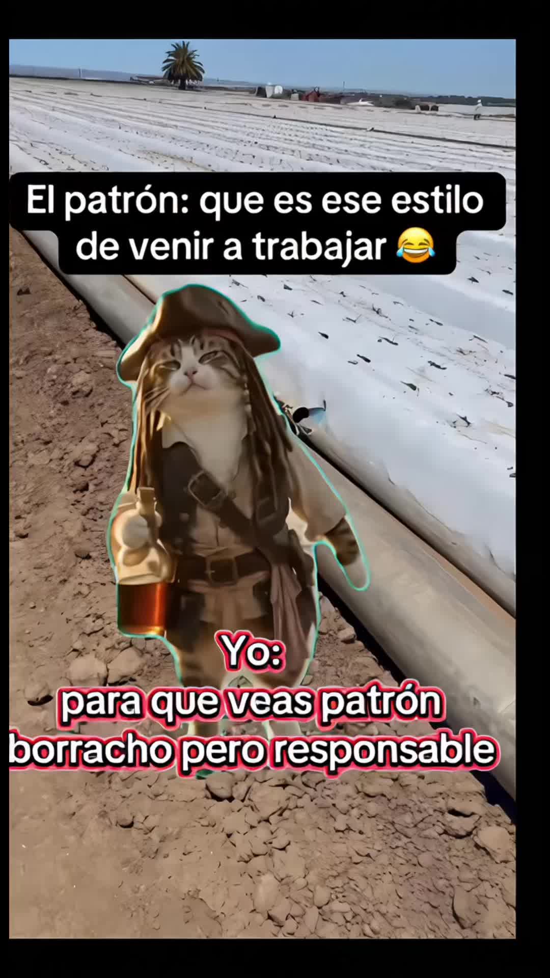 @Pedro Cruz