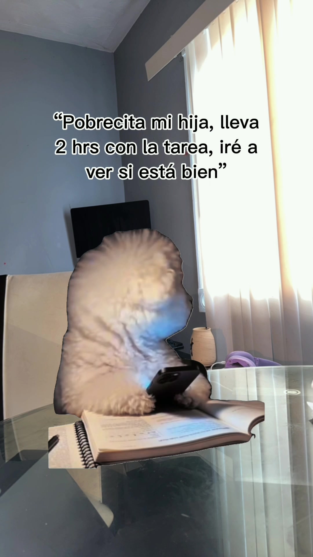 @Sigua TikTok