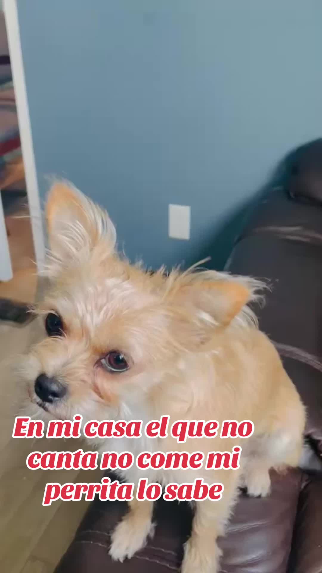 @Dany Guillén