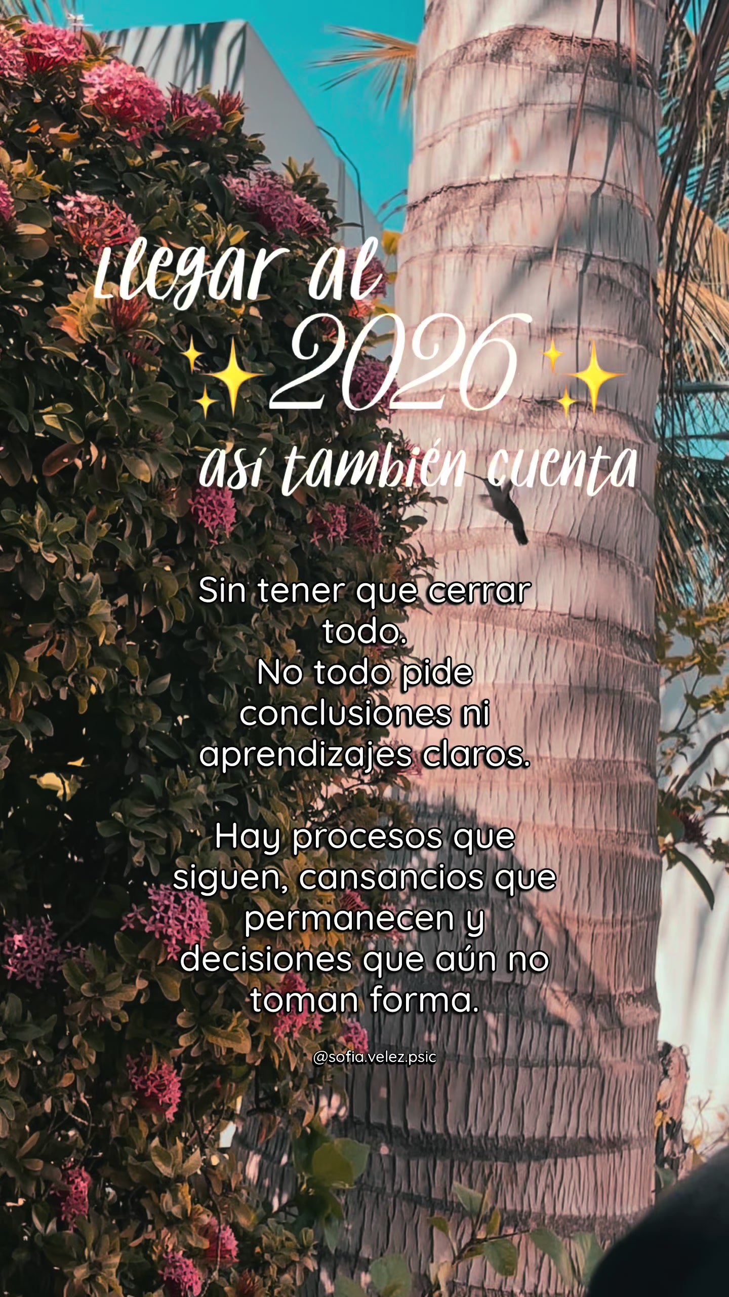@Sofía Vélez