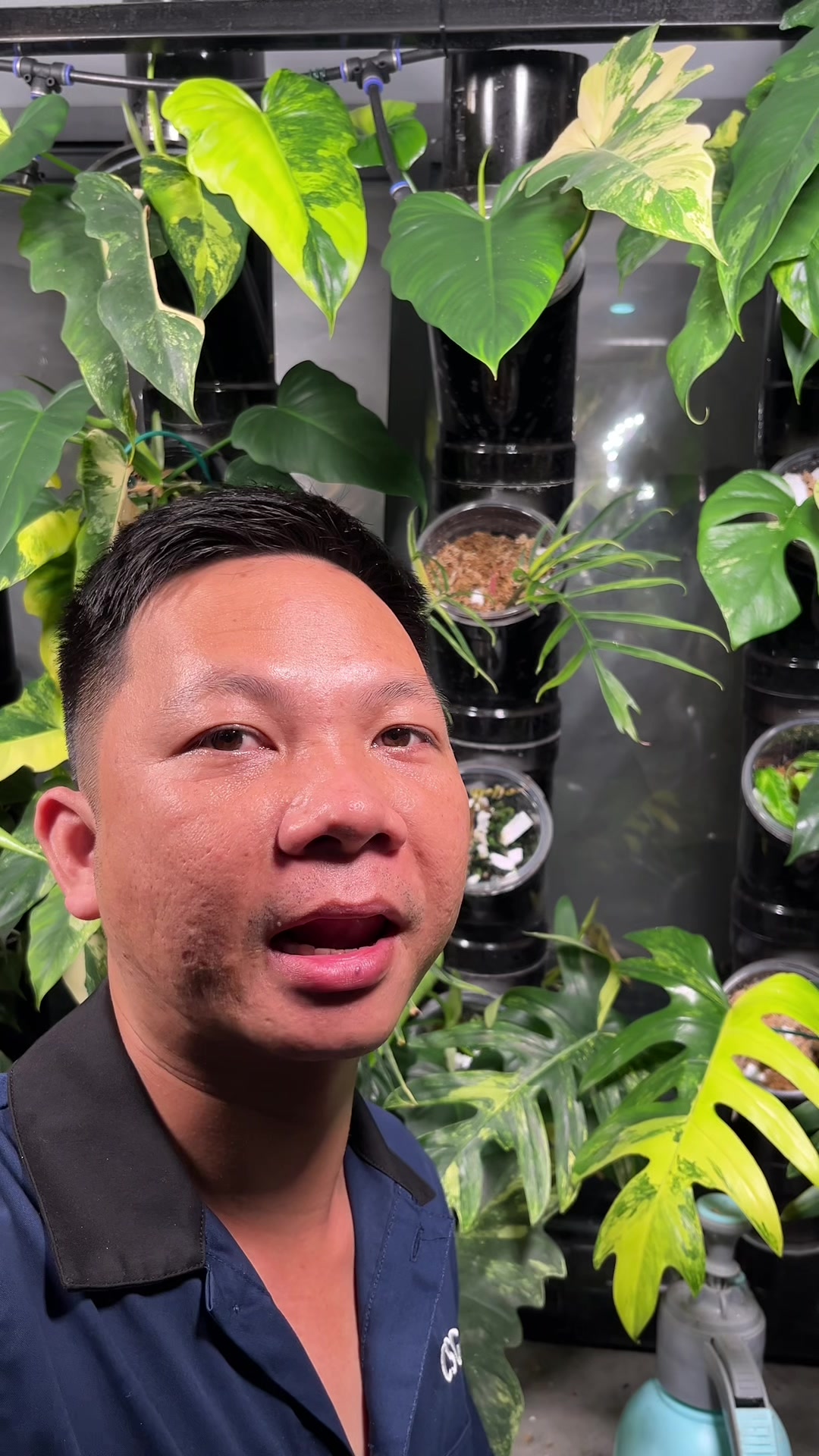 @Huy Kiểng Lá