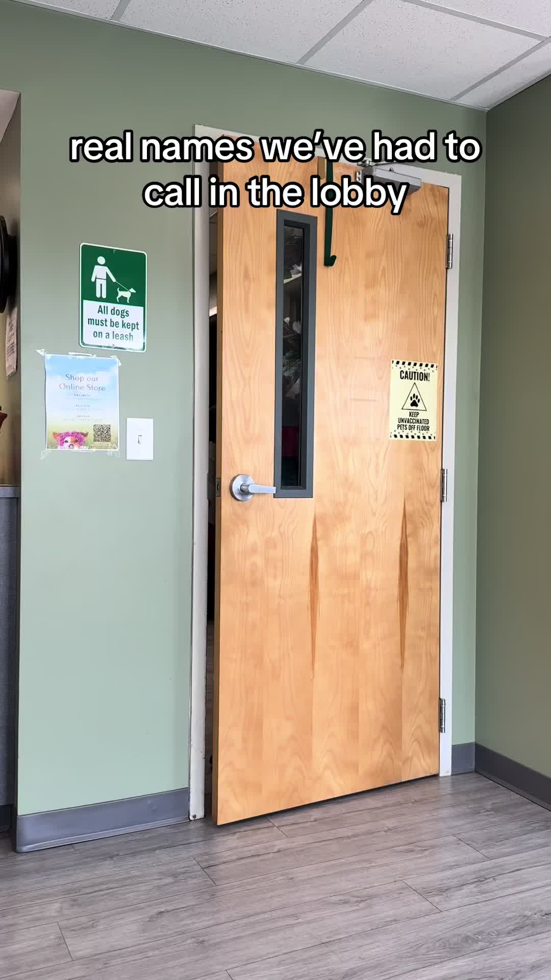 @Triangle Vet