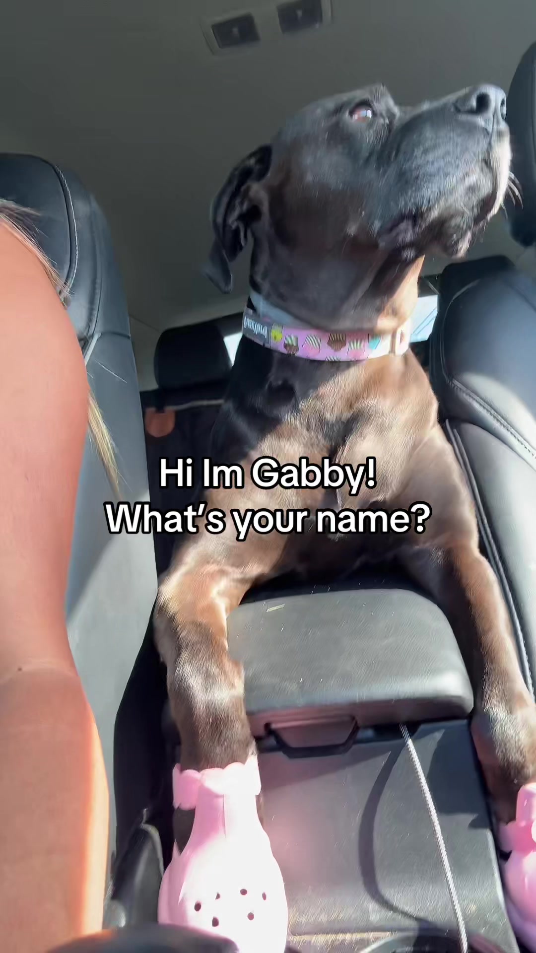 @Gabby&rsquo;s adventures