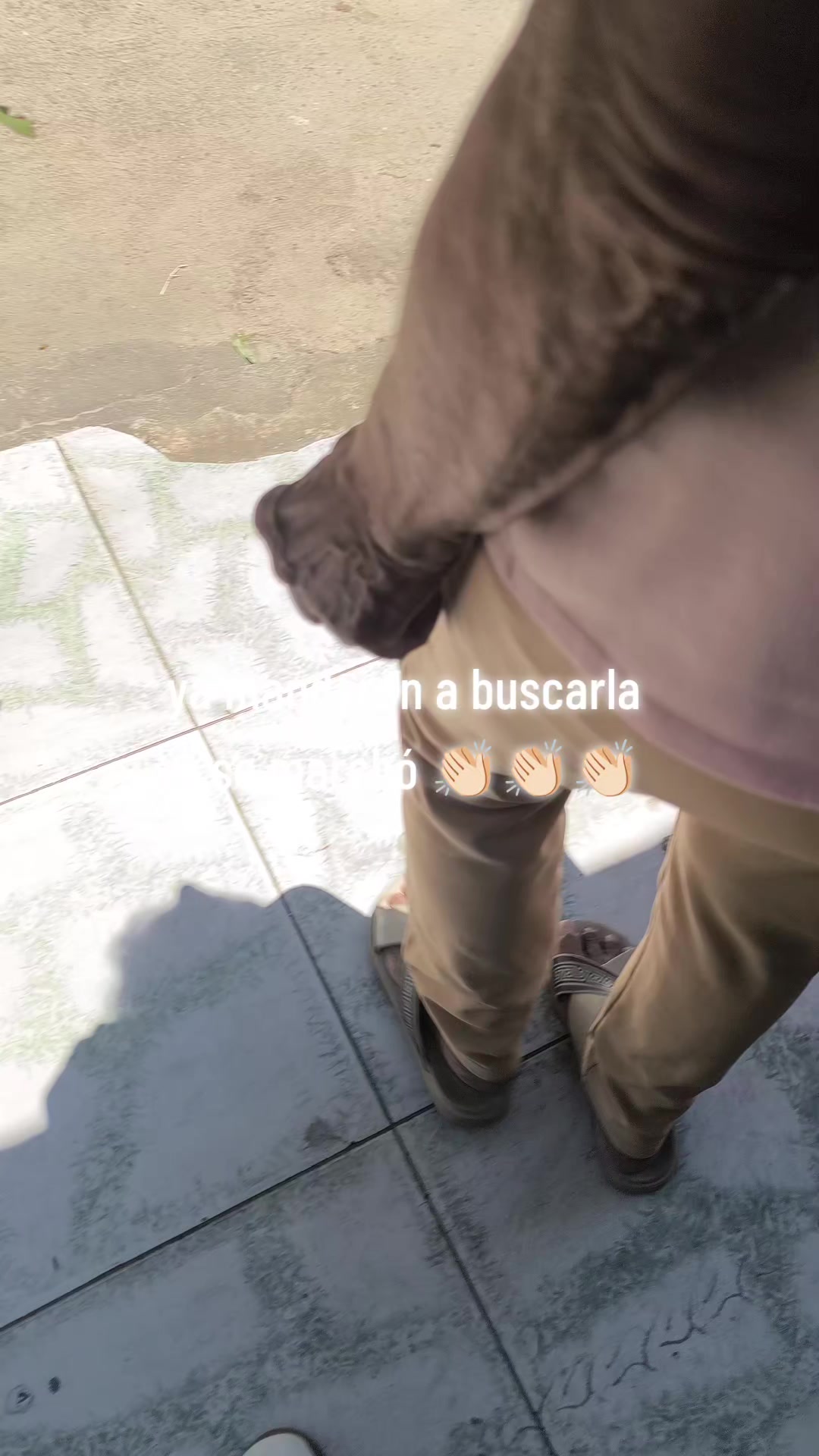 @monarca_pao