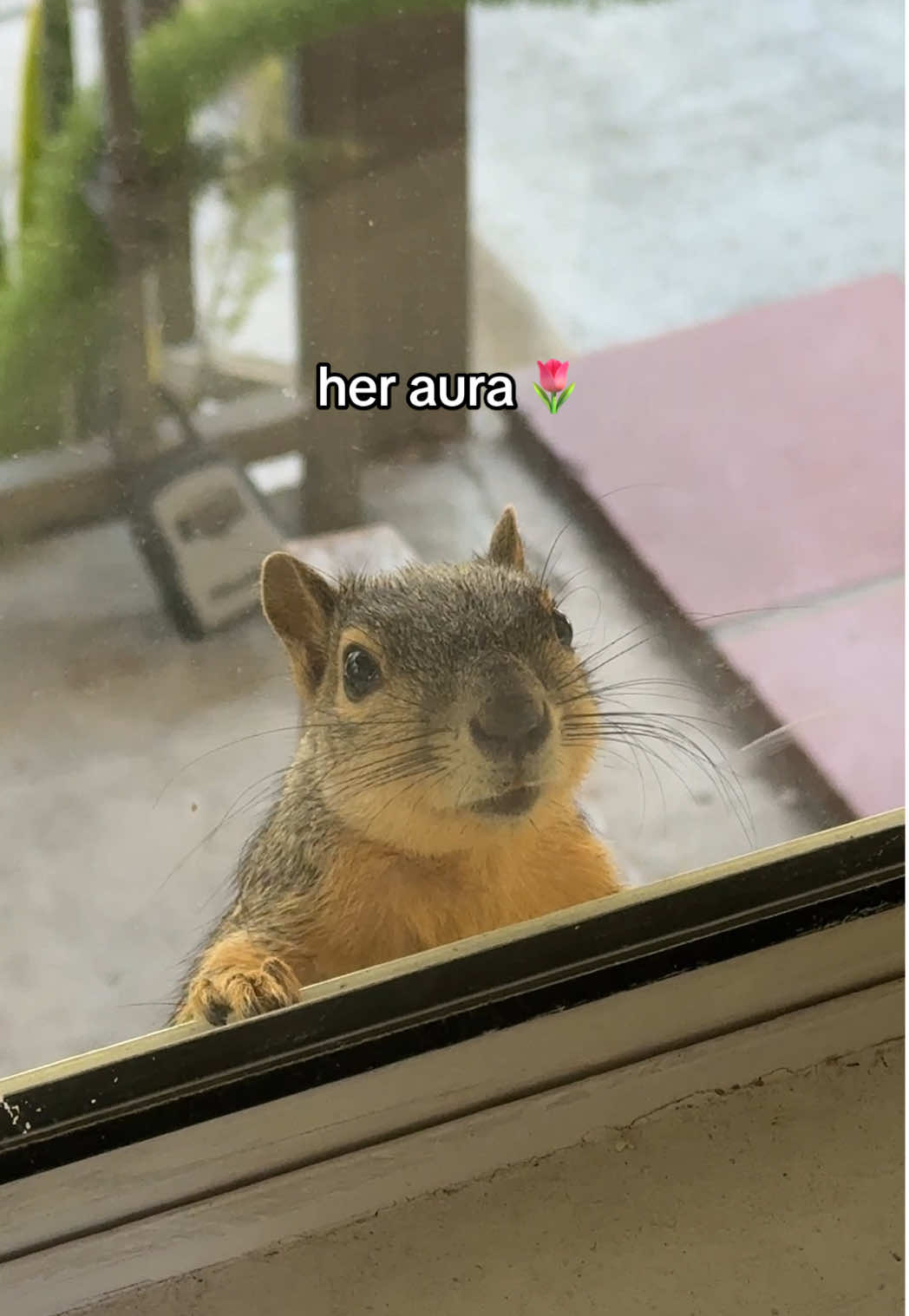 @hey_silver
