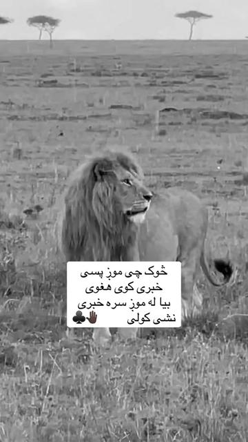 @🥷🏿کــــپــــچــــه🥷🏿