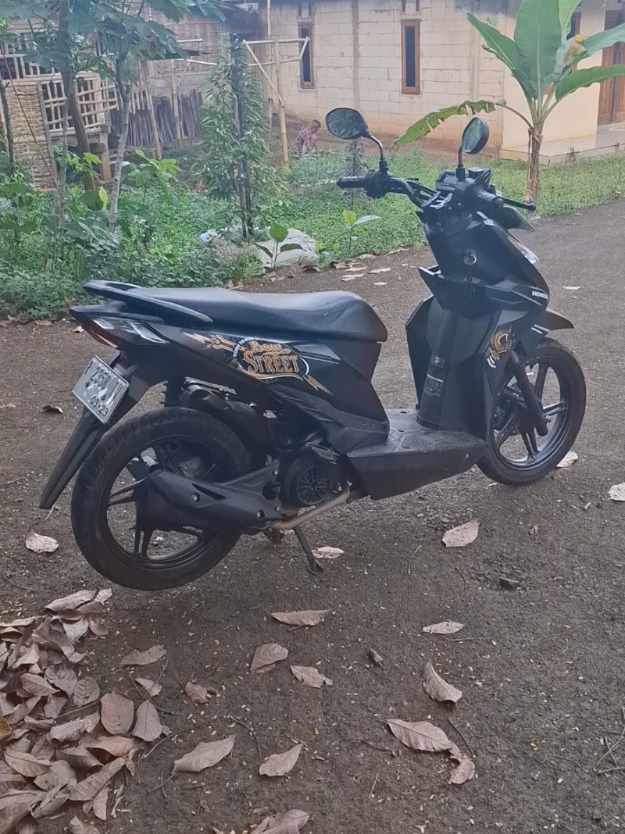 @Alia Motor