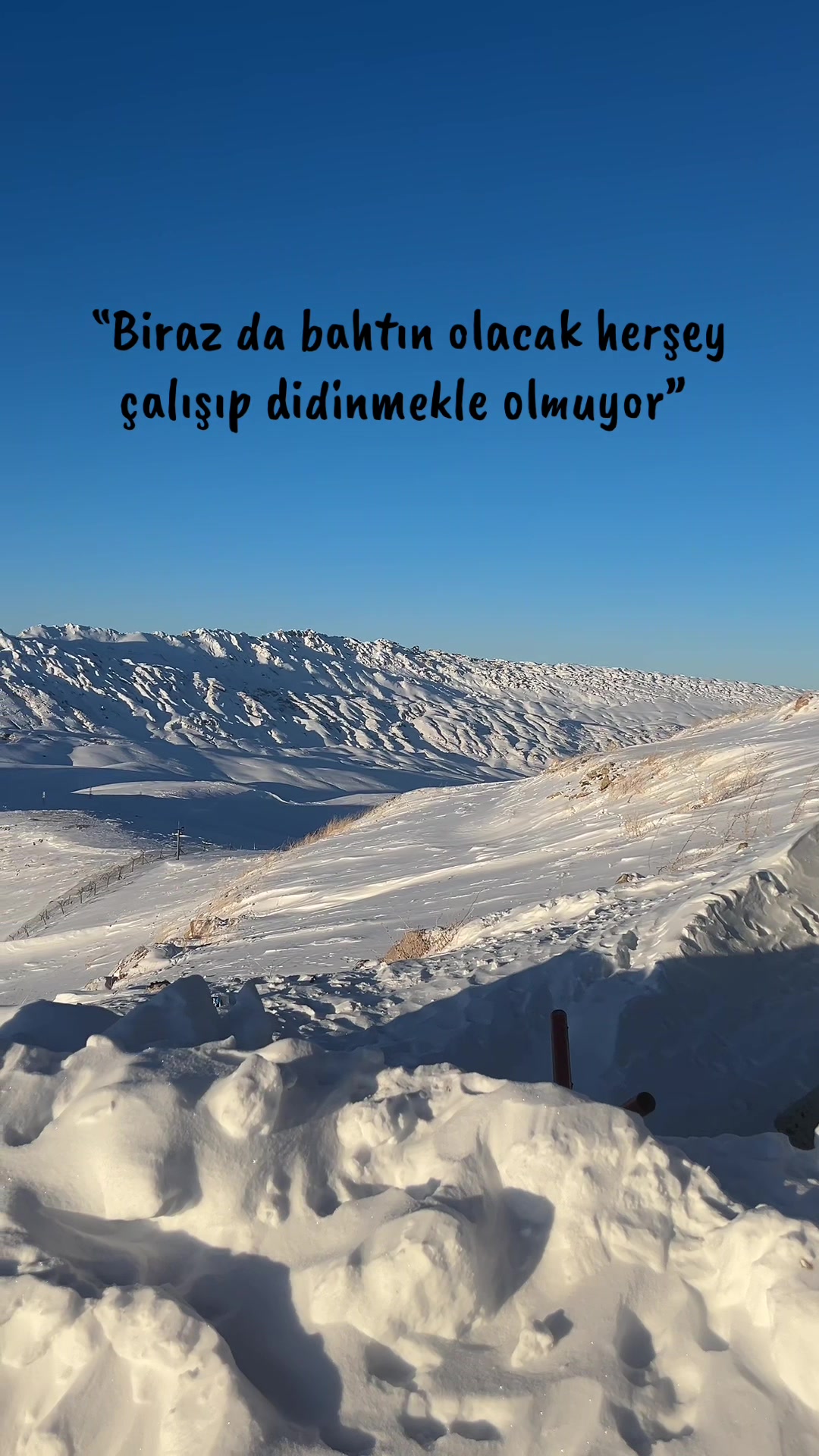 @Ahmet Kamalı