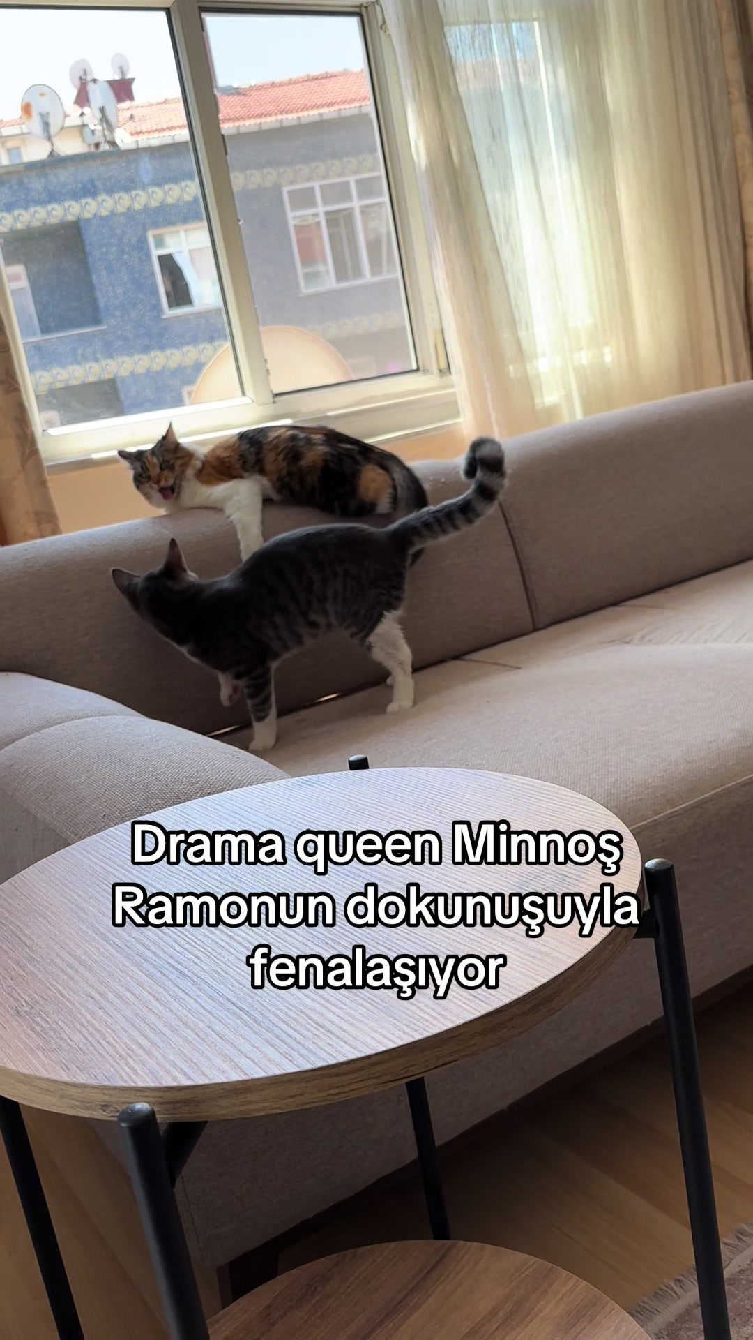 @konusankediminnos