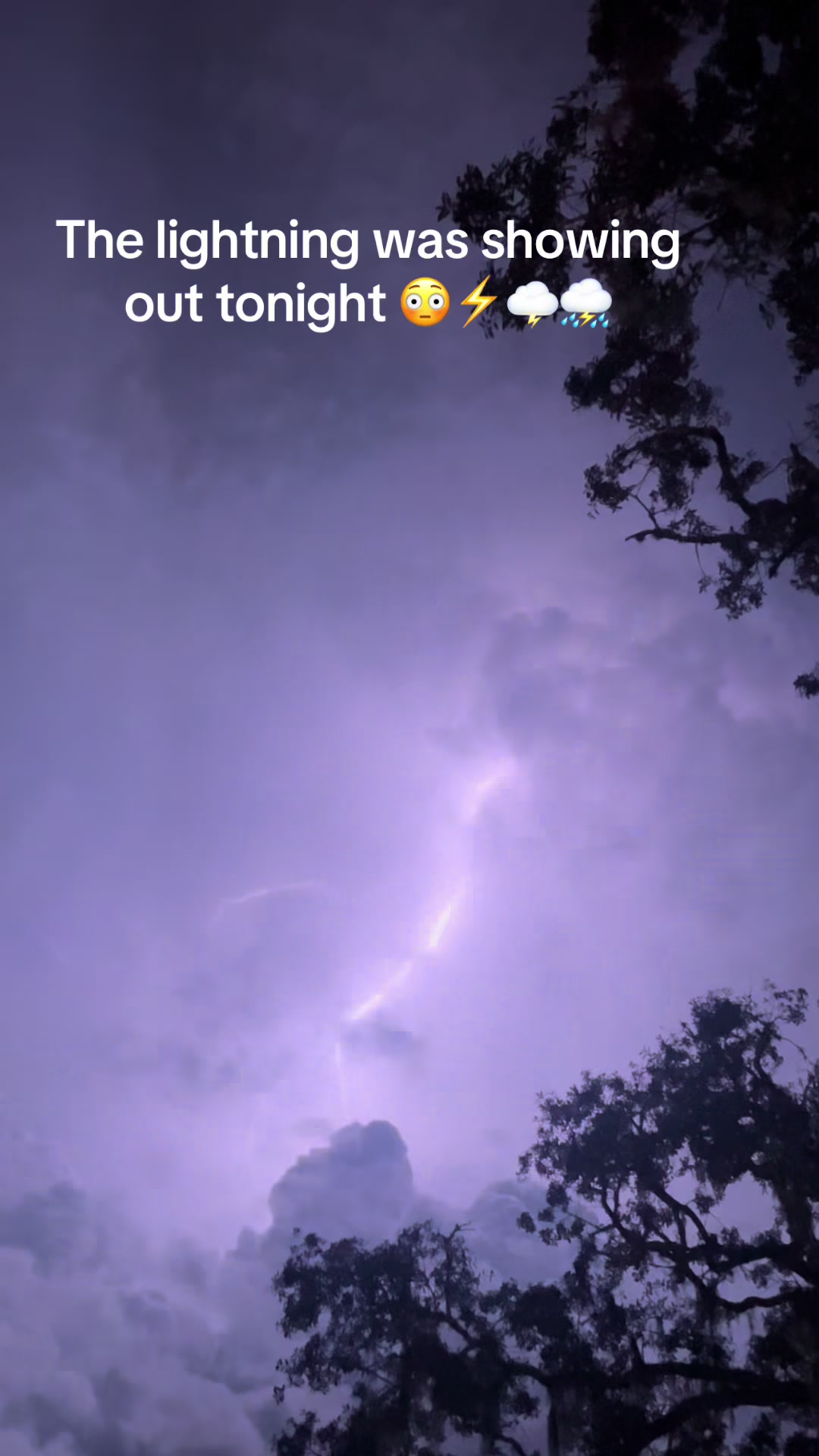 @InsaneRhondaLane