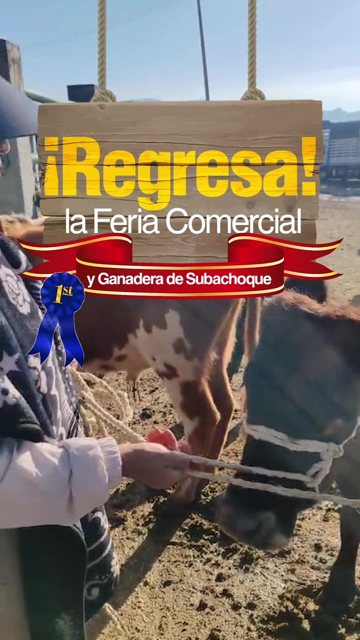 @Jorge CAMACHO