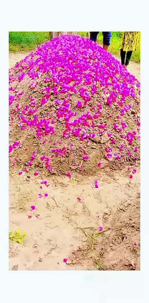 @Wajid Bhatti