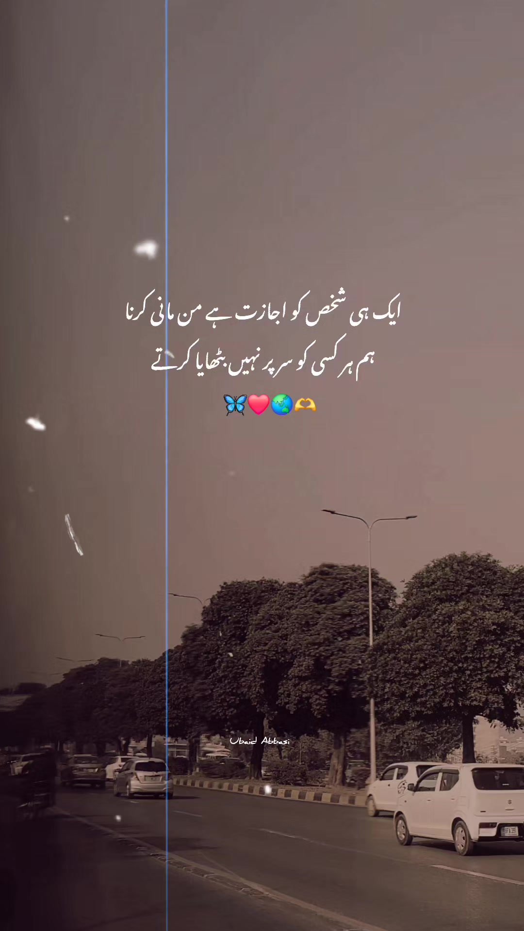 @Ubaid Abbasi ⚜️