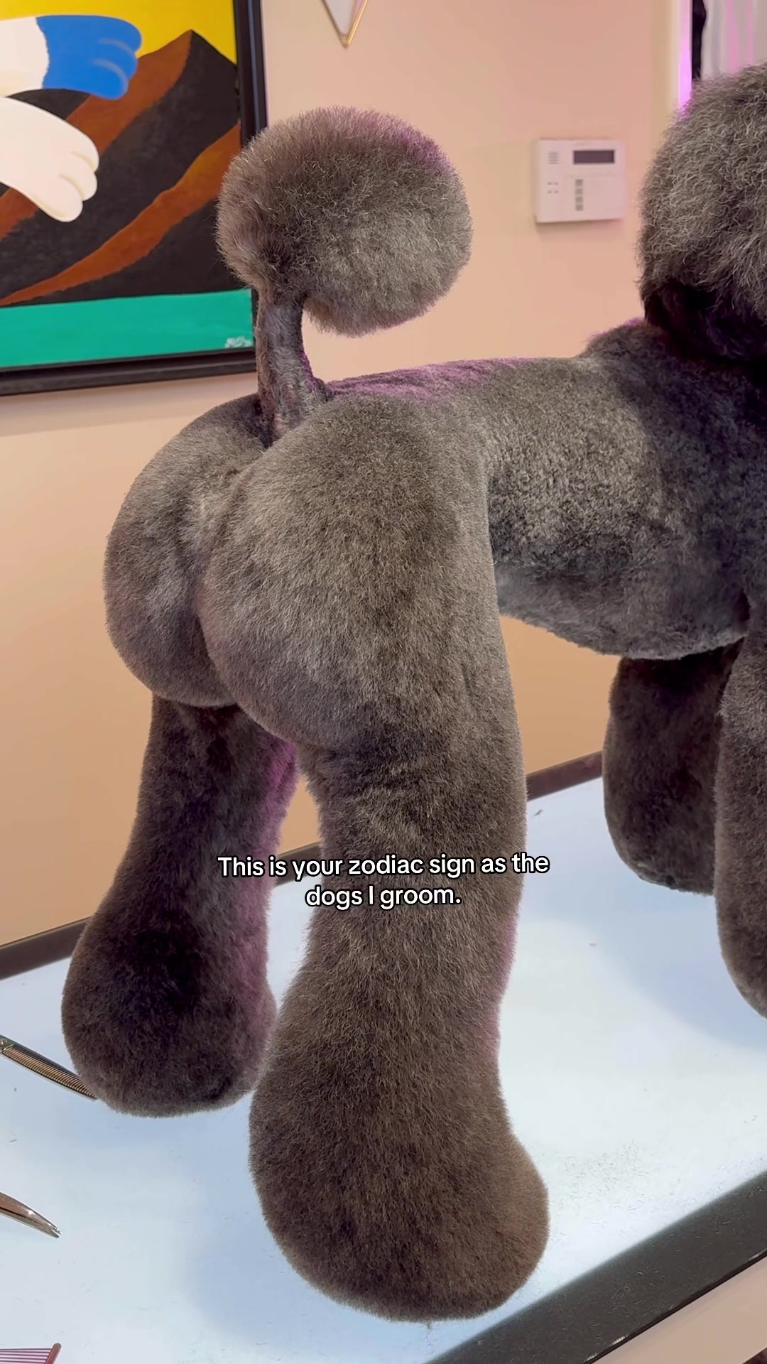 @Logan