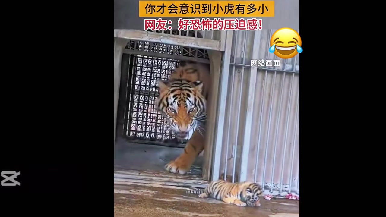 @liujiangyu