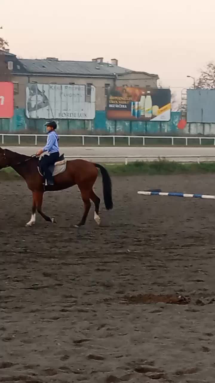 @меги🐎