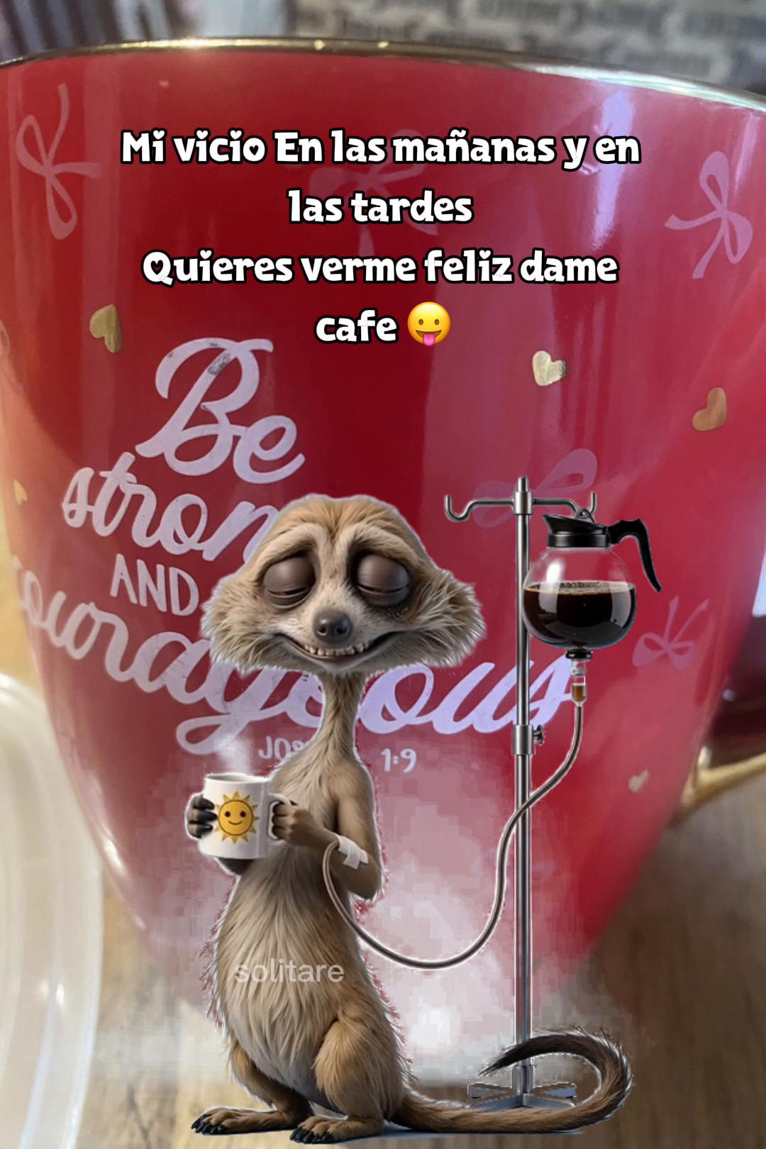 @💛Bonita_Girasol91