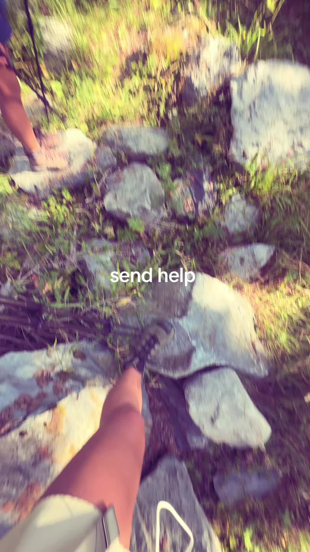 @zaj