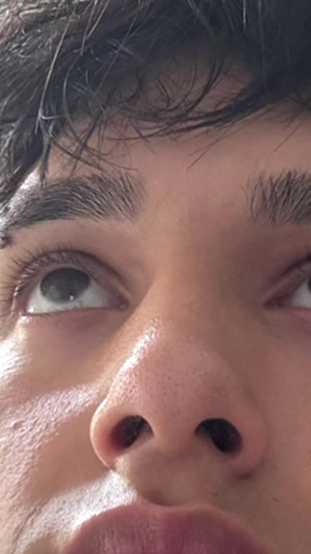 @NICHEHOUSE