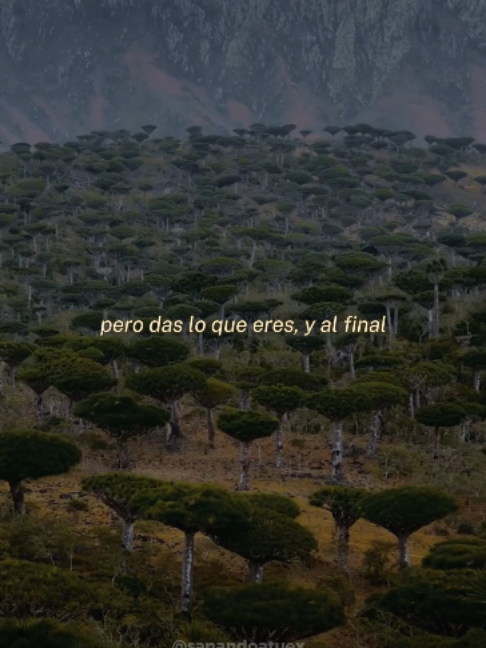 @Sanando a tu ex