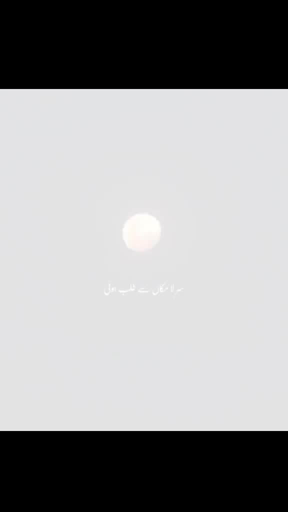 @afshanshakeel53