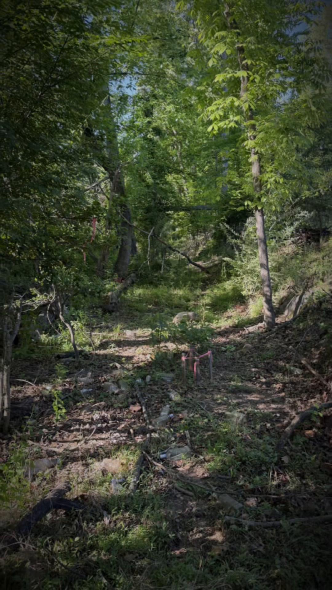 @Dennys