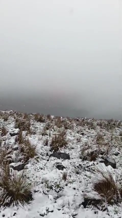 @Vladimir M