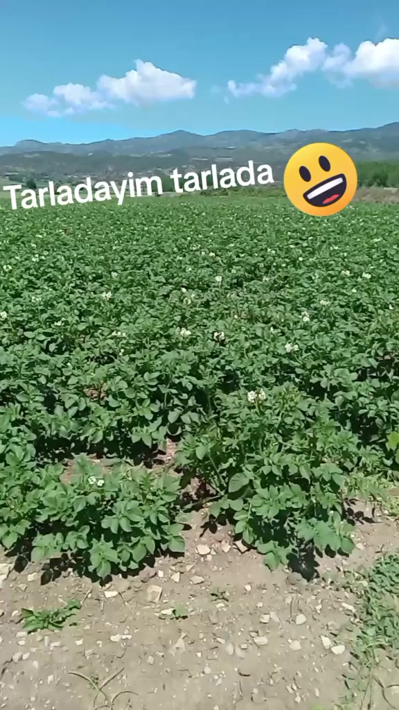 @❤️Emin ❤️ Ayşe Ilık ❤️