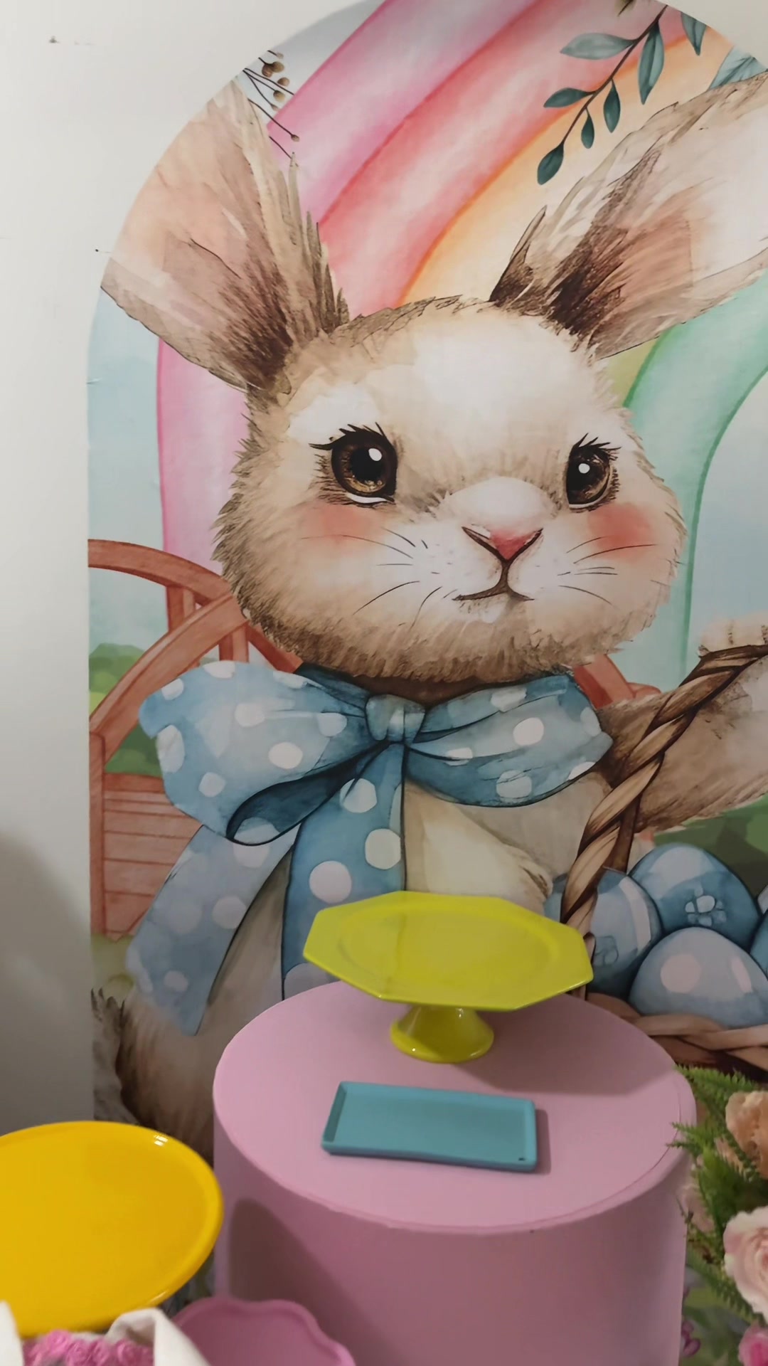 @Mailane Braga Balões e Decor