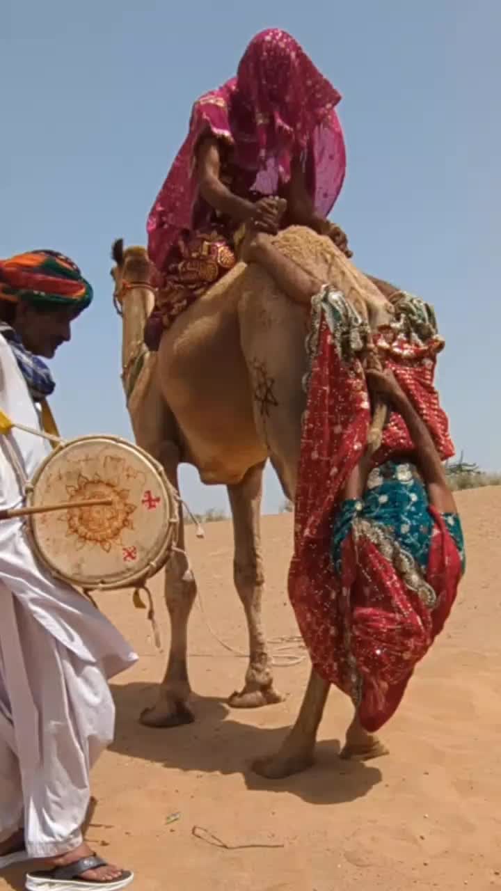 @Camel baby🐪
