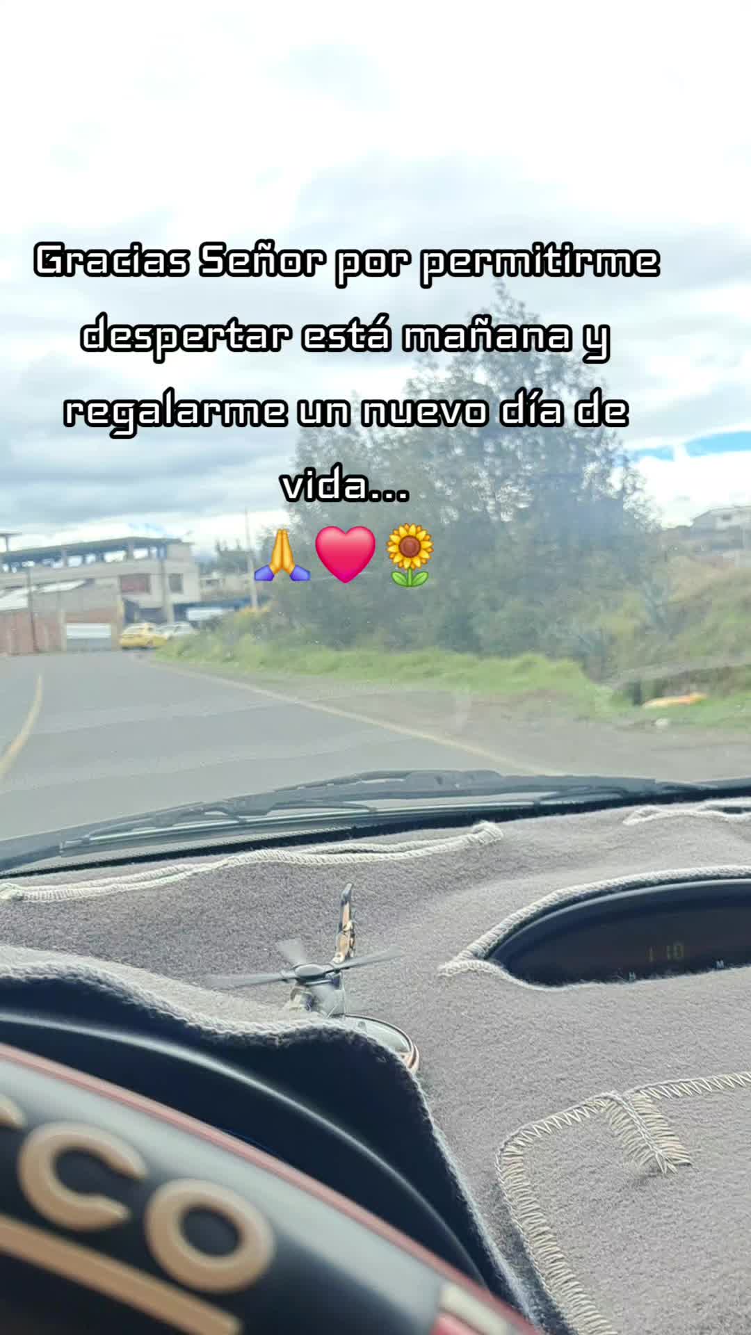 @Negrita