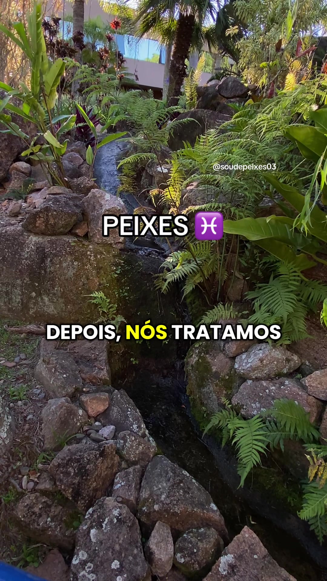 @soudepeixes