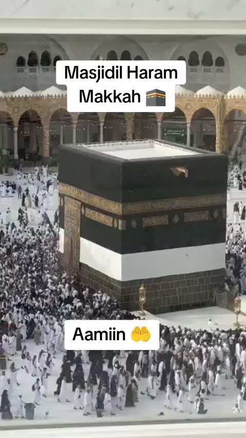 @اللهم صل على محمد