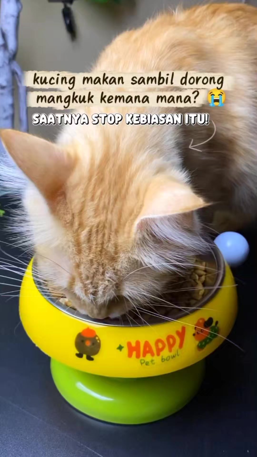 @TamaGo Pet