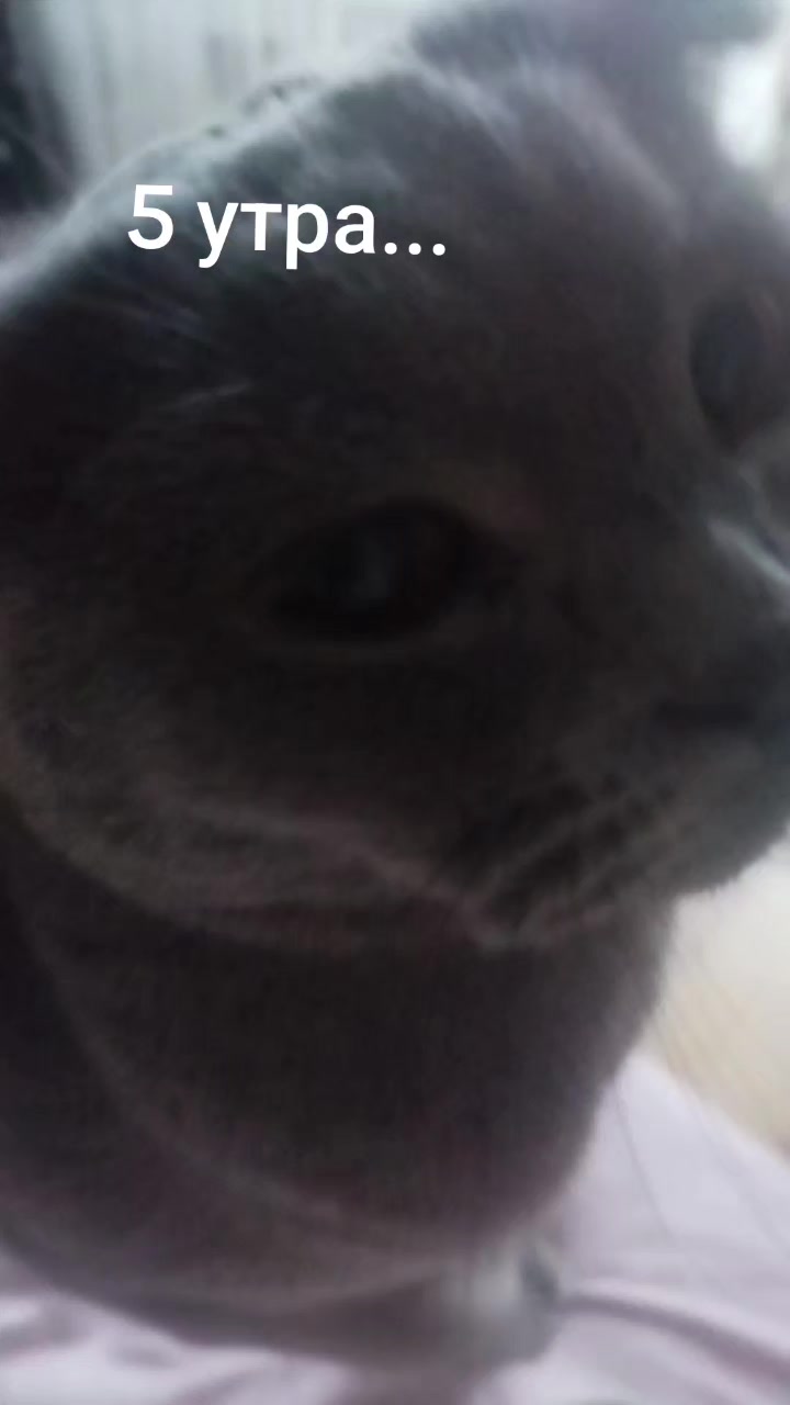 @thuuuuuuuukuuuunaaaa