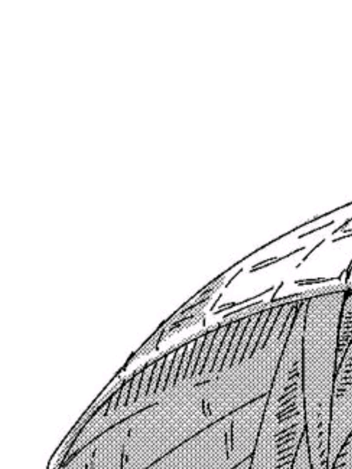 @𝐅𝐋𝟎𝐖&nbsp;𝐃𝟑𝐌𝐎𝐍 ⚡︎