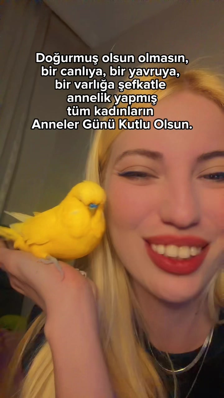 @bbb.budgie
