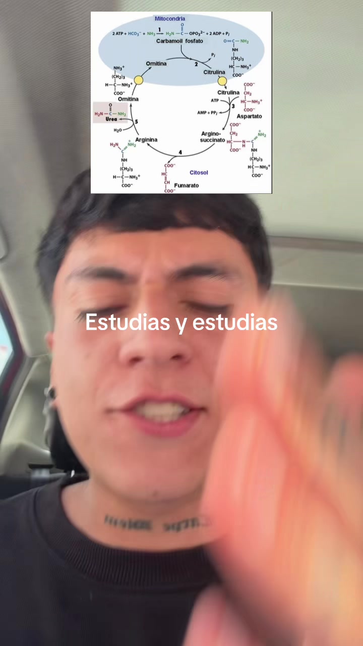 @ENDOBOY