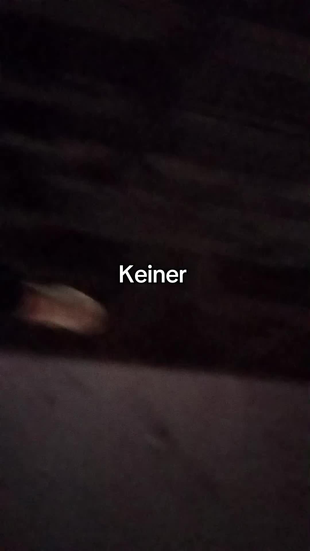 @𝓝𝓸𝓫𝓸𝓭𝔂