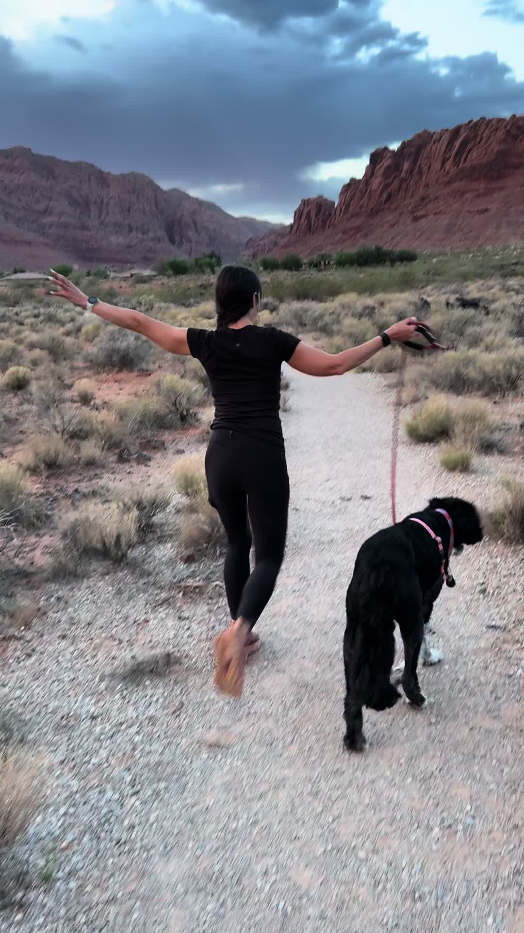 @Bernedoodlemama