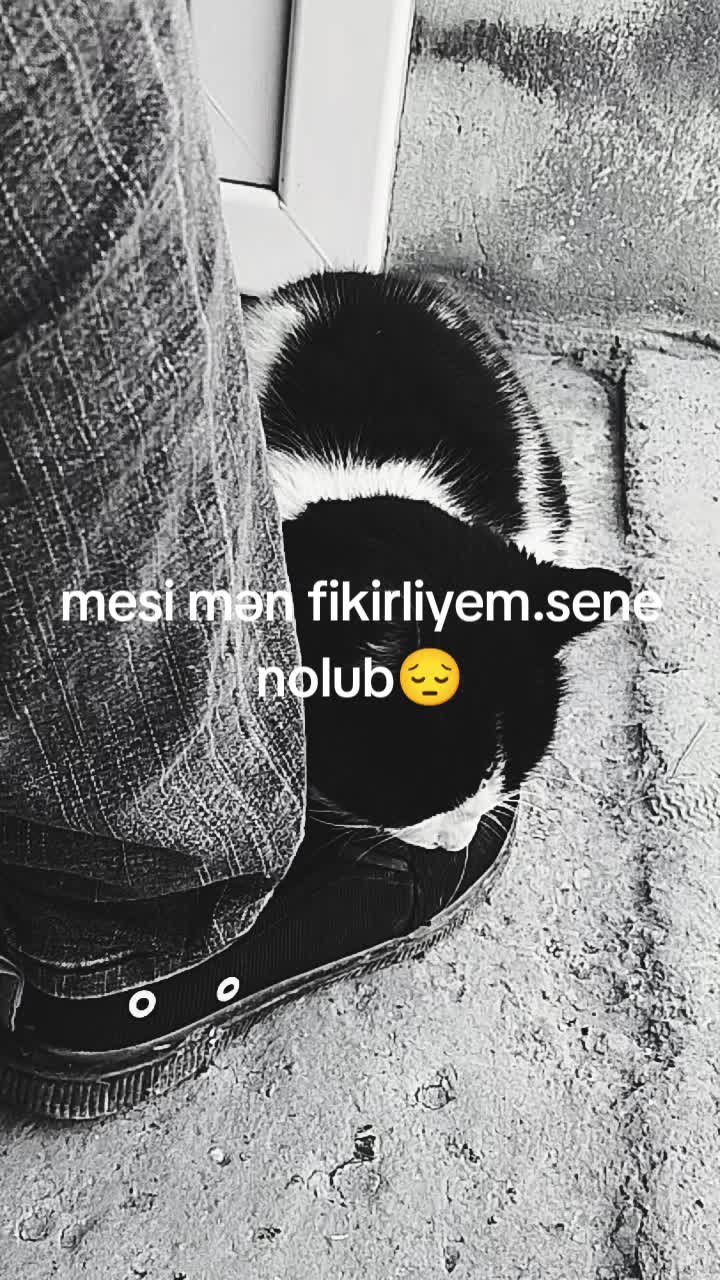 @buda_keçer_@