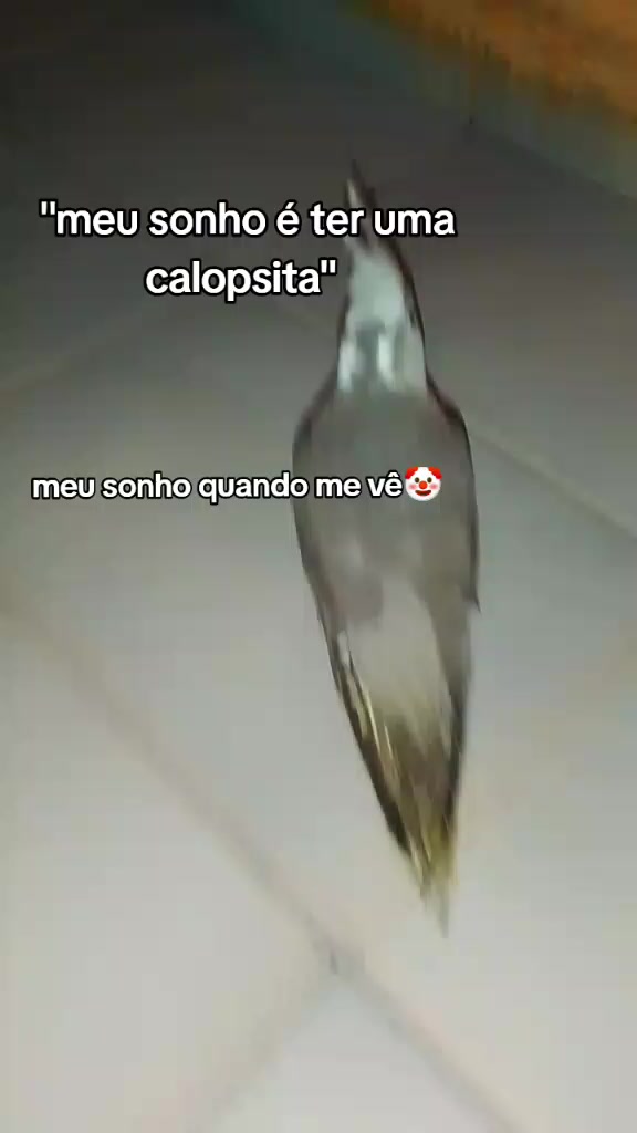 @Wolrd_Kat💜🚀