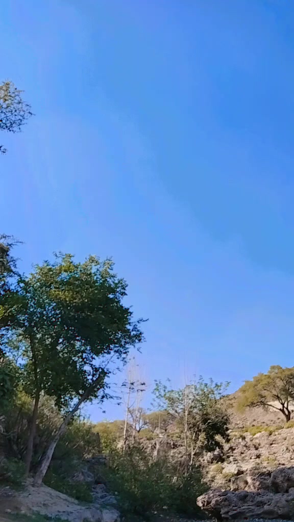 @🦋⍣⃝🇦𝐌𝐉𝐀⍣⃝ 𝐃🕊