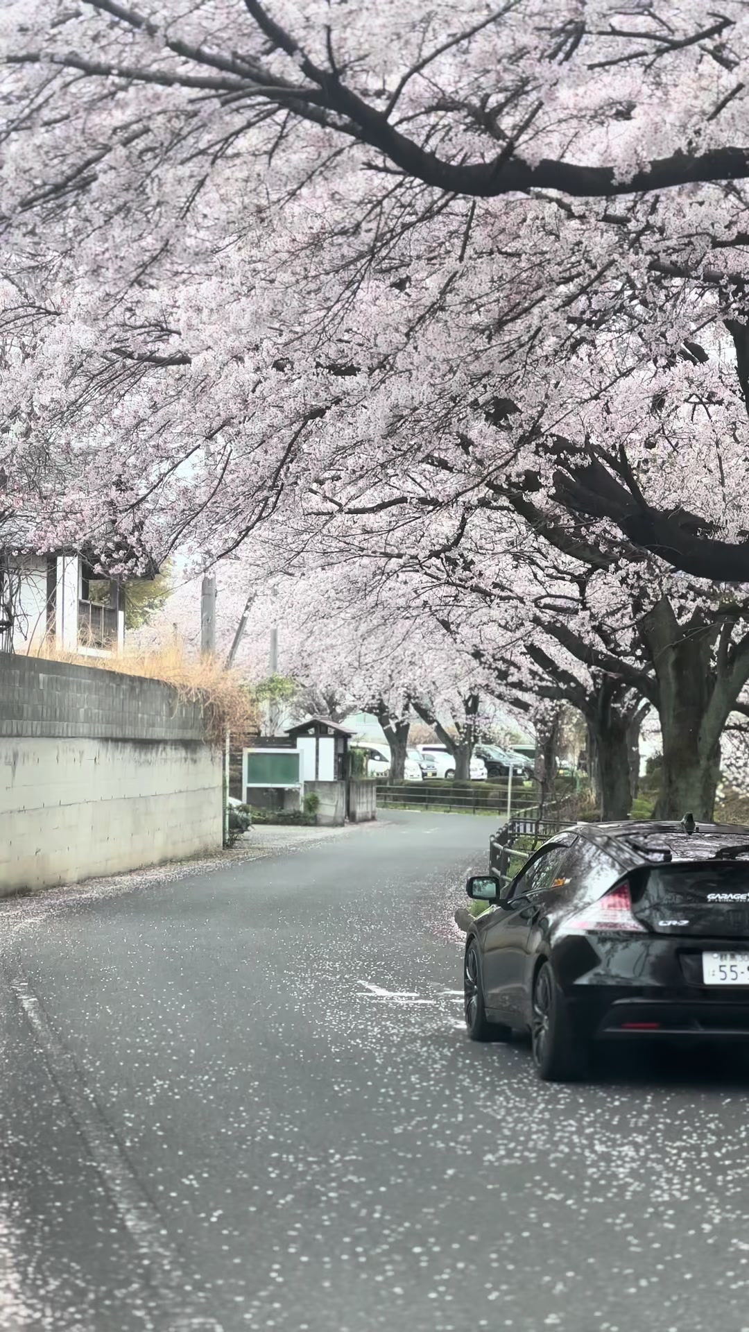@サジットS14🇯🇵