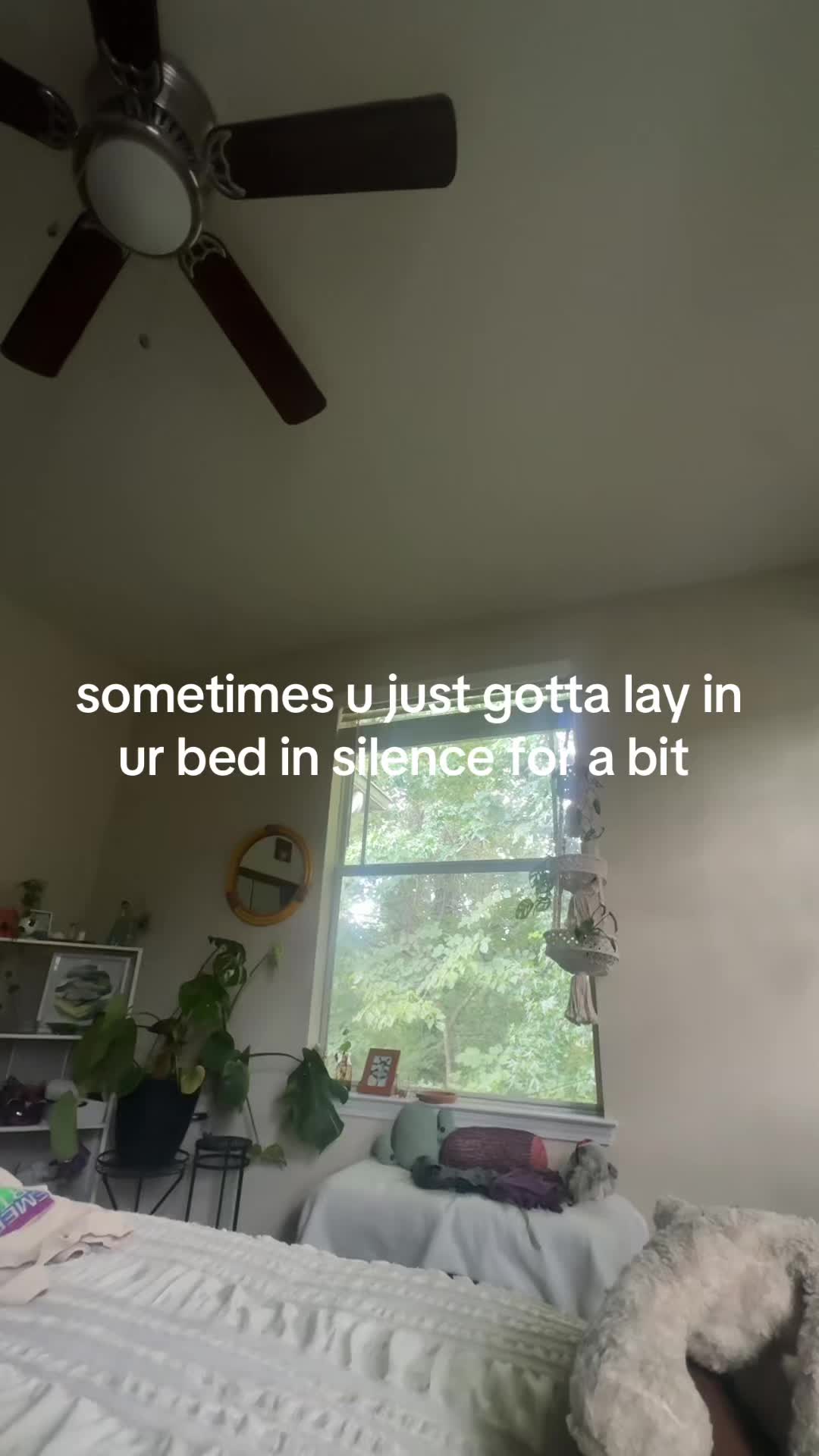 @cokonut