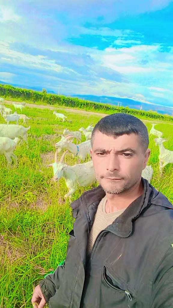 @Mustafa✔️Malçok✔️