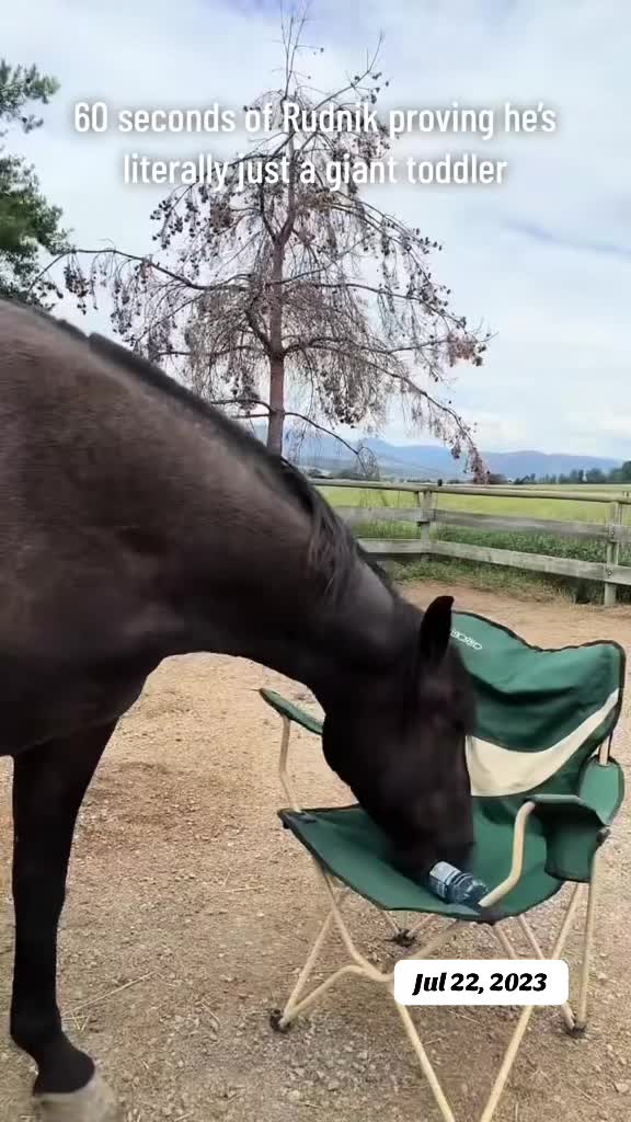 @Rudnik the Roan