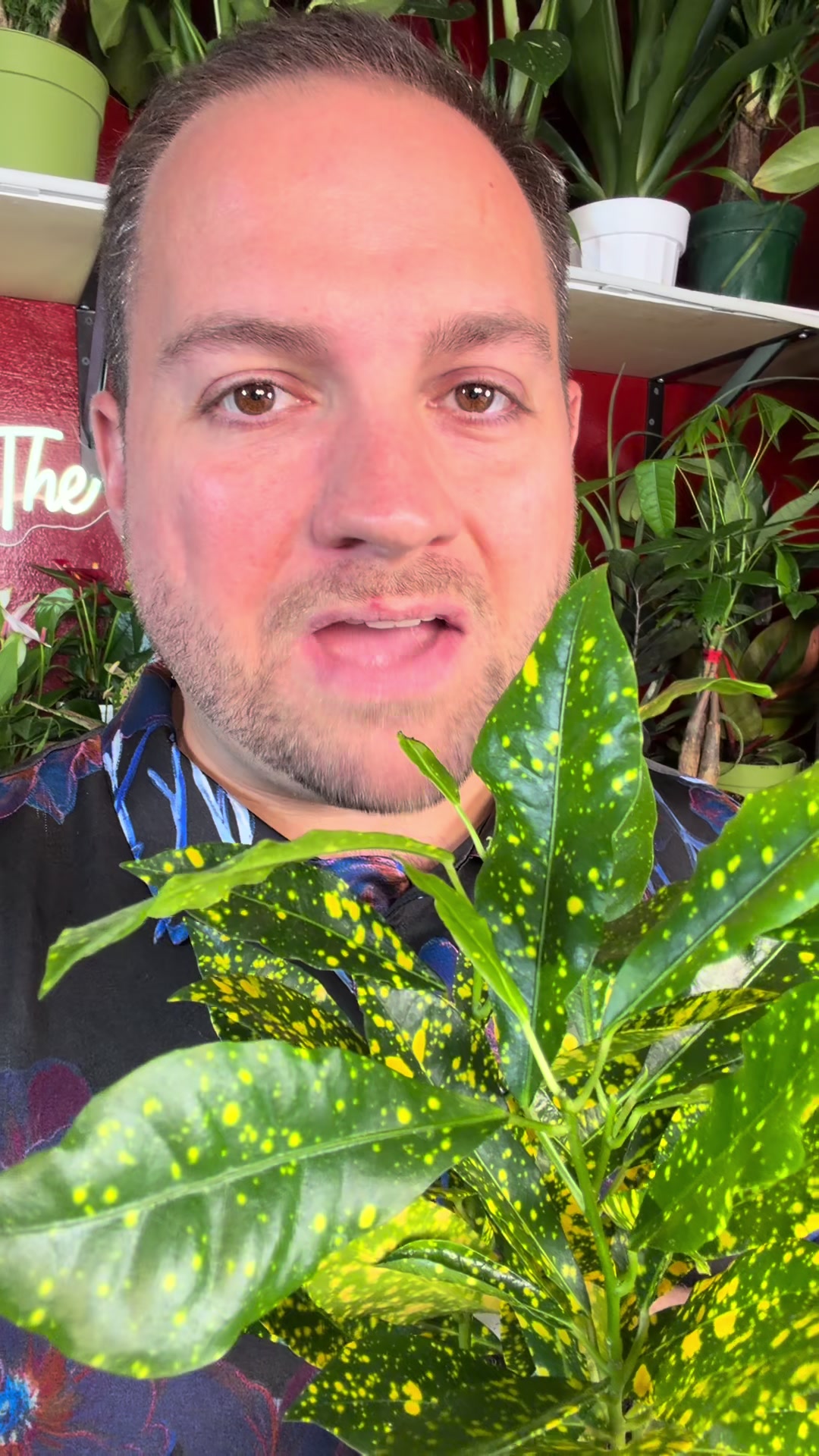 @Brandon The Plant Guy