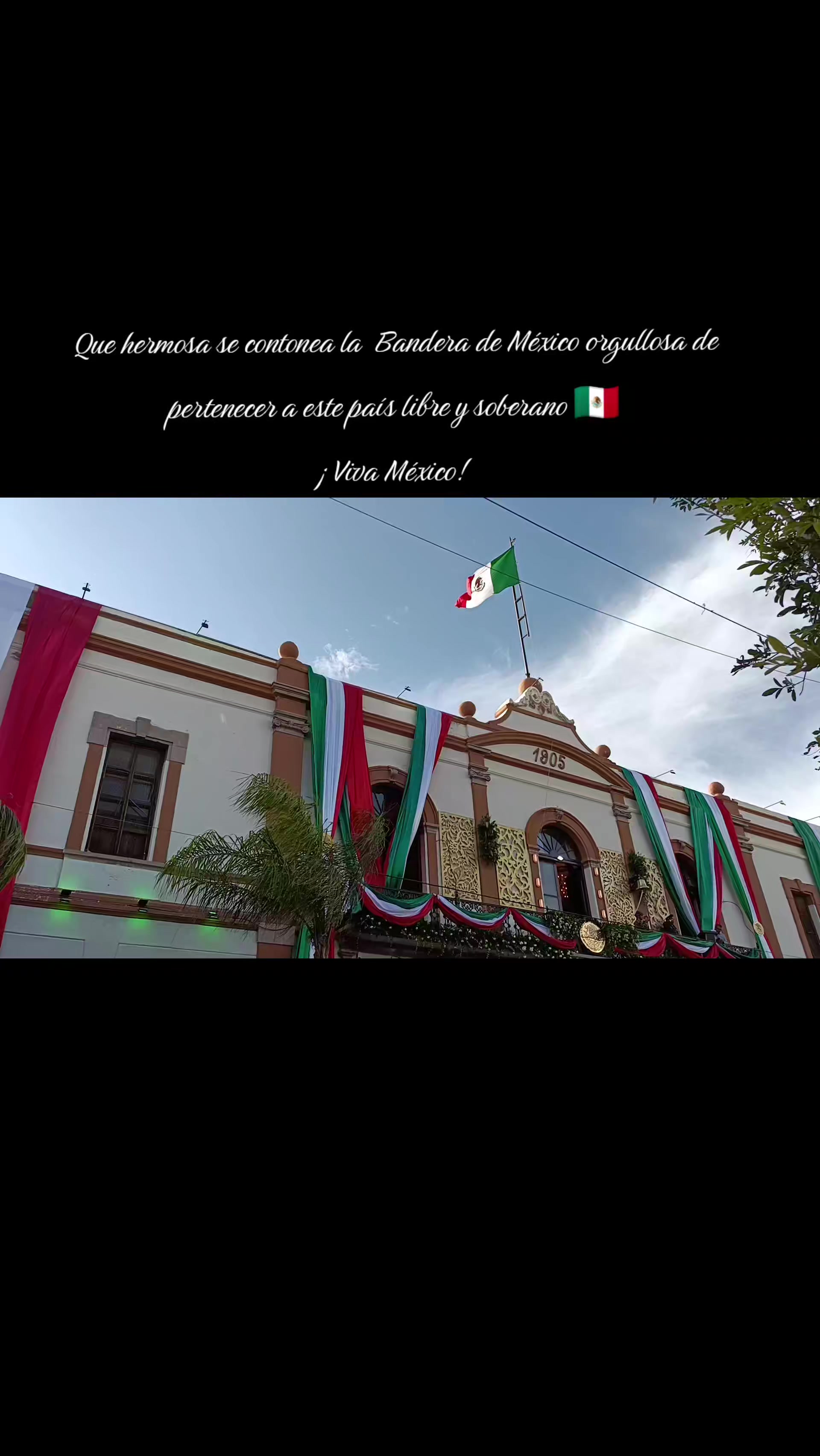@la loca de los gatos 😽